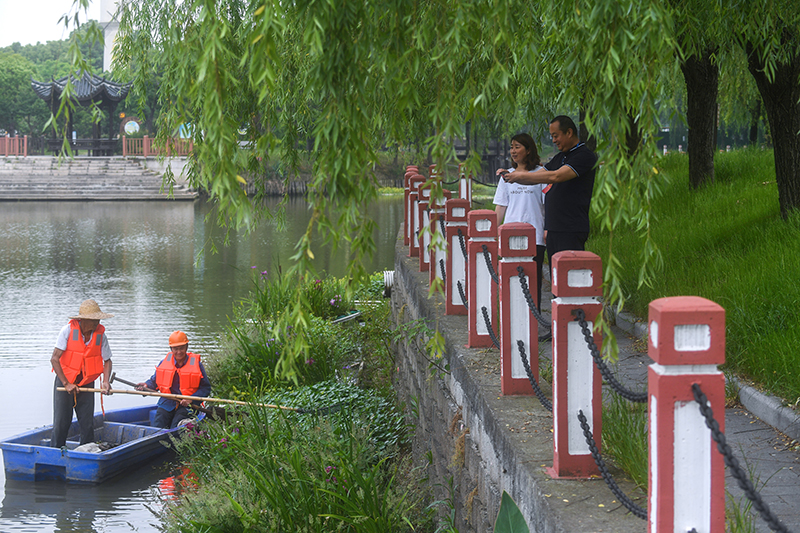图片11.png