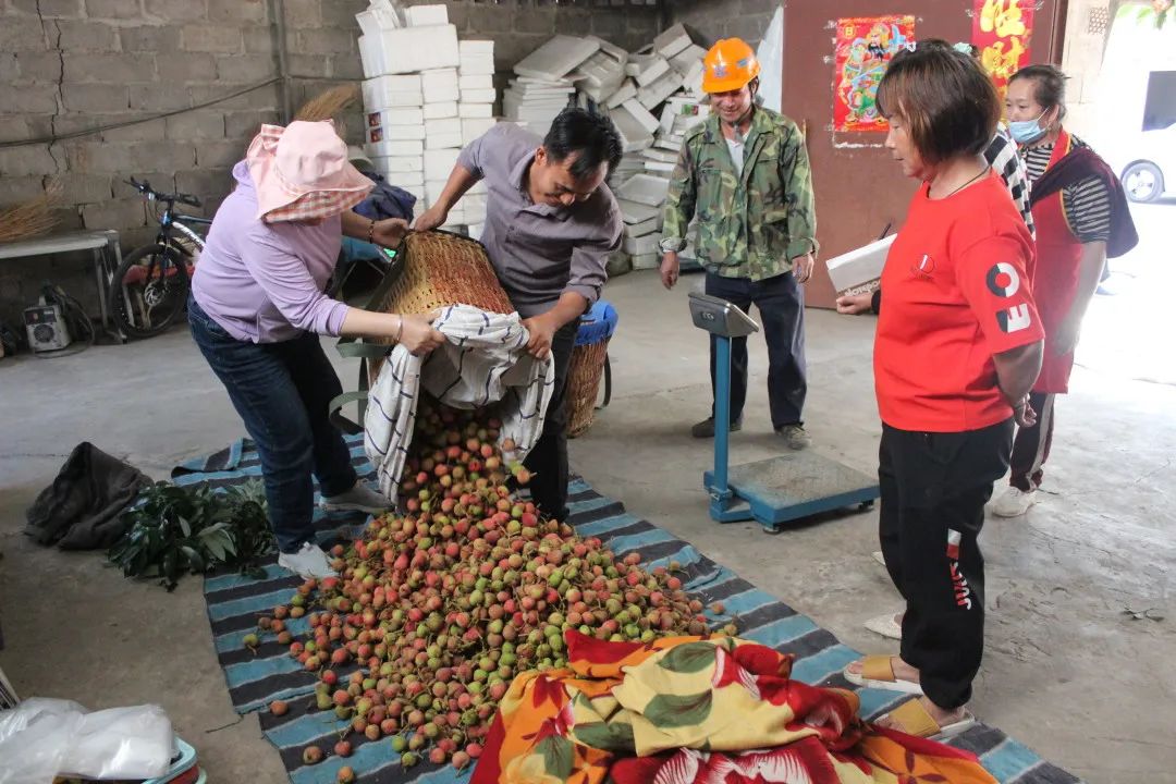 4.jpg 4.jpg