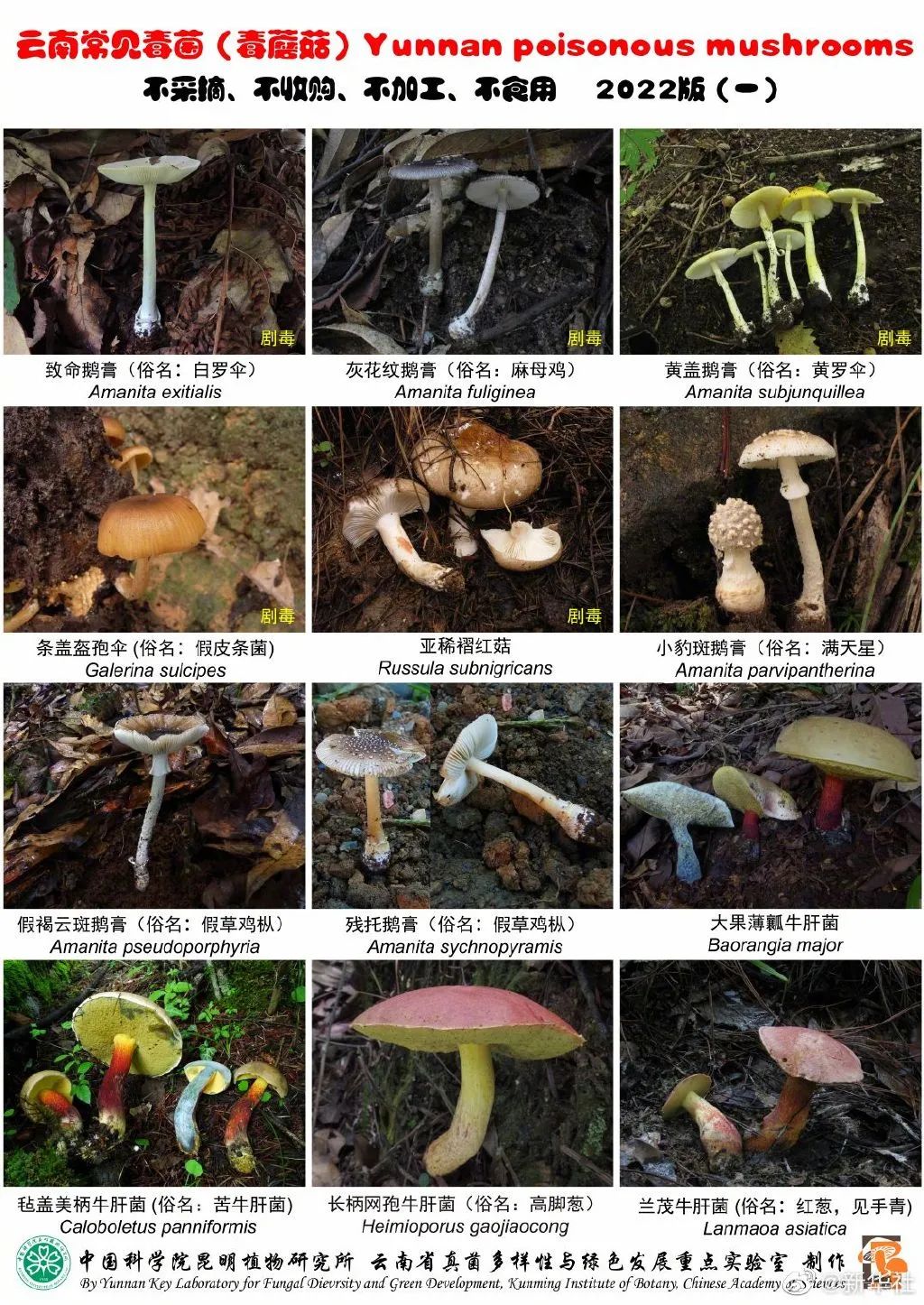 7 - 副本.jpg