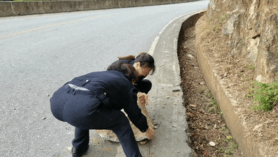 640.gif 640.gif