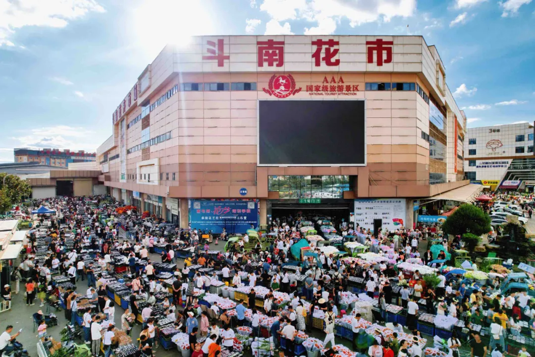 斗南花市 胡妤雅 摄.png 斗南花市 胡妤雅 摄.png