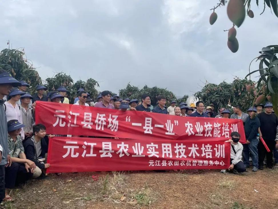 图片3.png 图片3.png