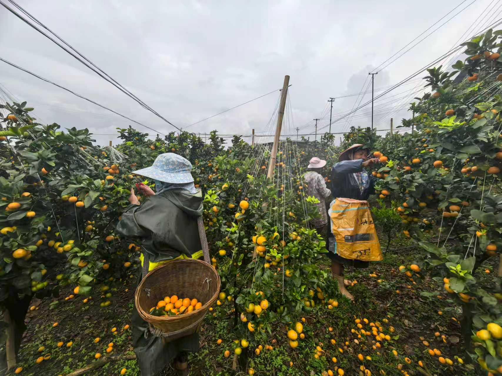 b3e7b427f6ff46bf7a790b1645cfd644.jpg b3e7b427f6ff46bf7a790b1645cfd644.jpg