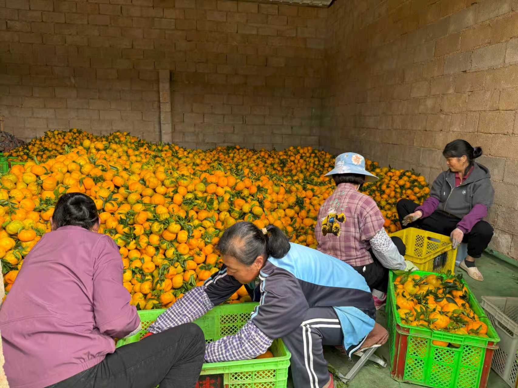 35953eb4b545019b615ac72e0bfeb8c2.jpg 35953eb4b545019b615ac72e0bfeb8c2.jpg