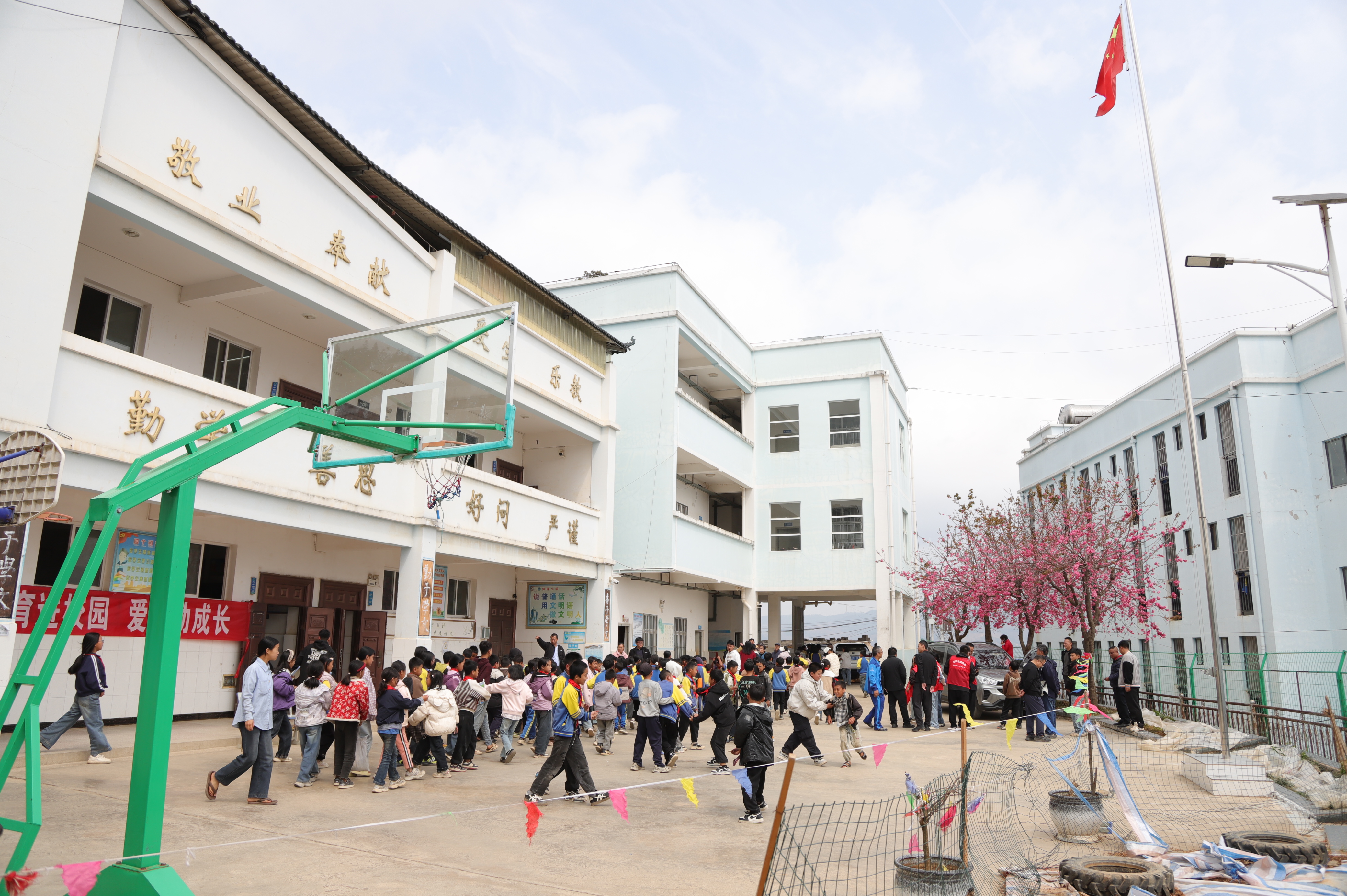 IMG_6166.JPG IMG_6166.JPG